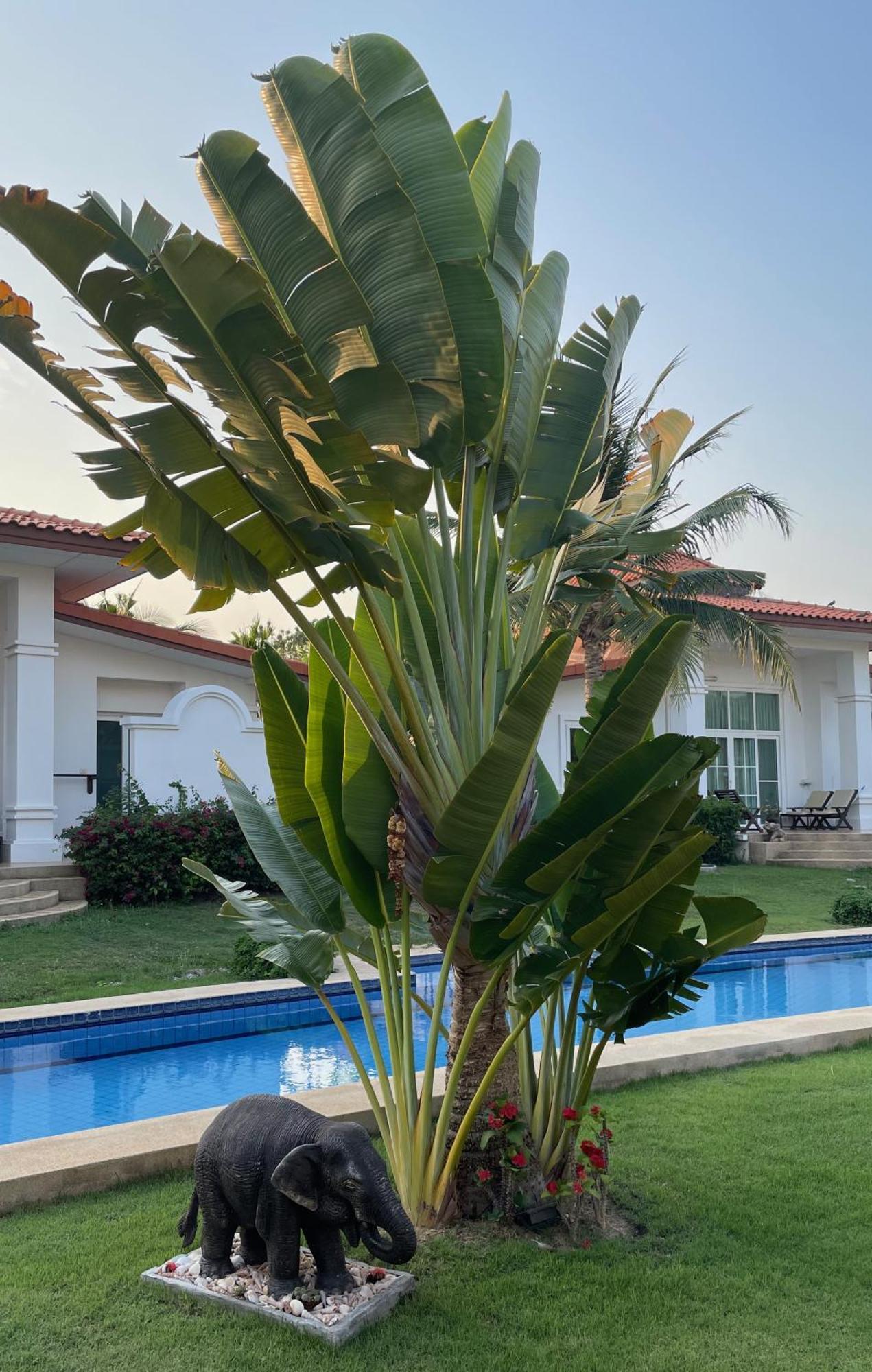 Villa Bougainvillea Hua Hin Exterior photo